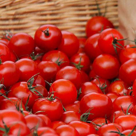 Tomates Cherry